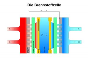 Wasserstoff-Heizung: Schematische Darstellung einer Brennstoffzelle