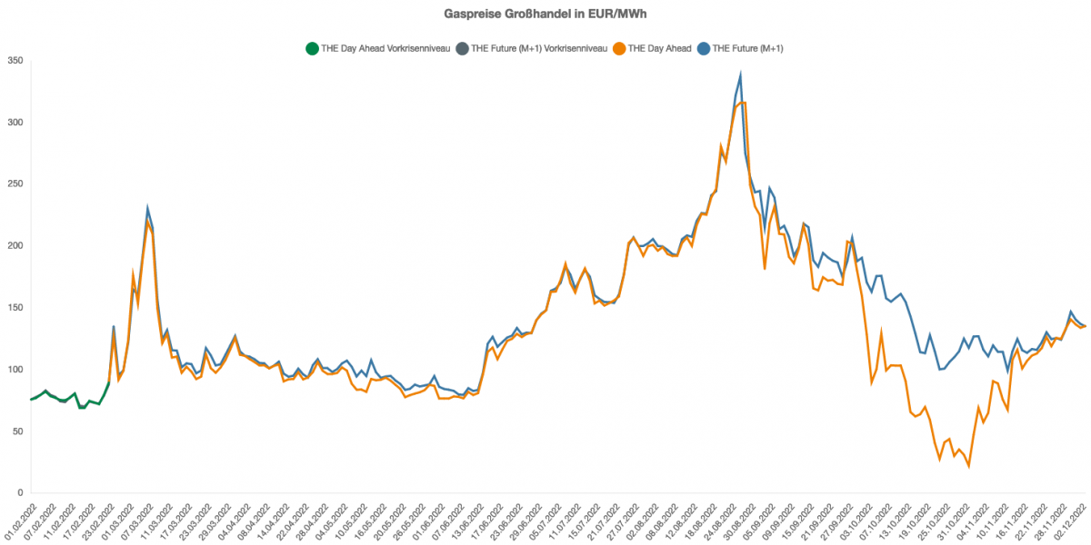  Gaspreise in Deutschland 2022 / 2023 Motiv 