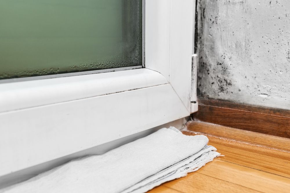 Kondenswasser am Fenster: Tipps & Folgen