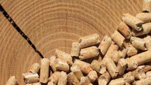 Biomasse und Pelletheizung