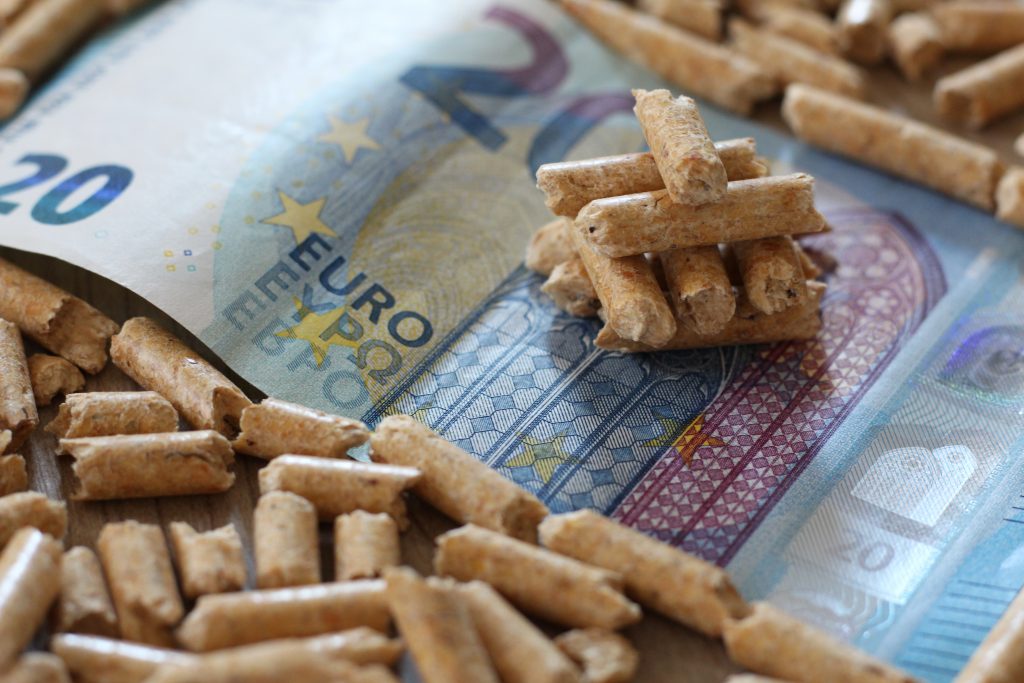 Förderungen für Pelletheizungen. Holzpellets auf einem 20-Euro-Schein.