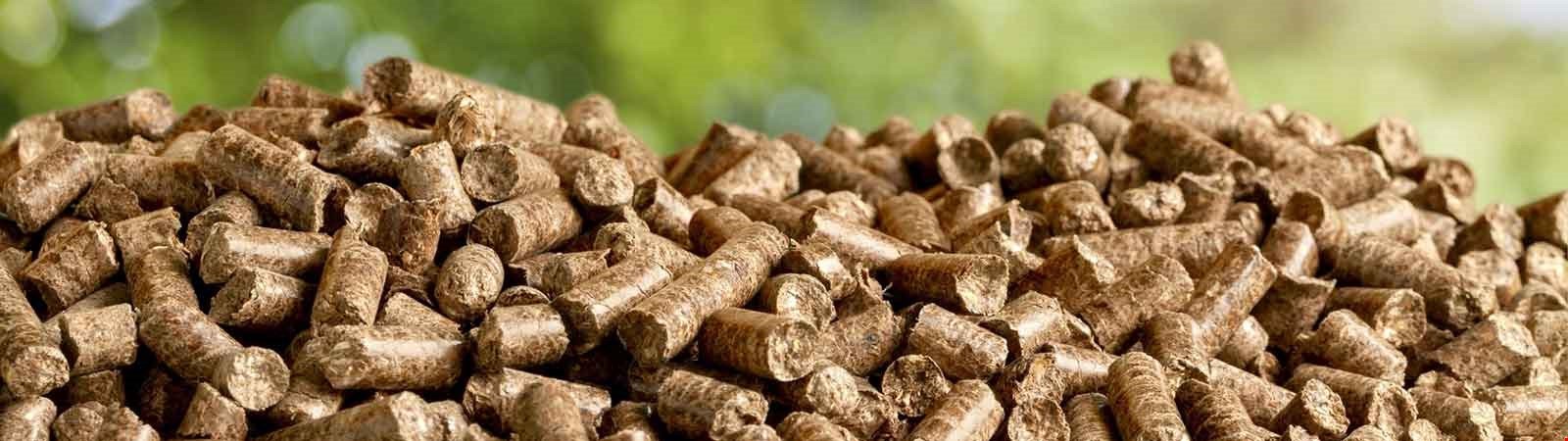 Pellets: Sauberer Brennstoff mit Zukunft