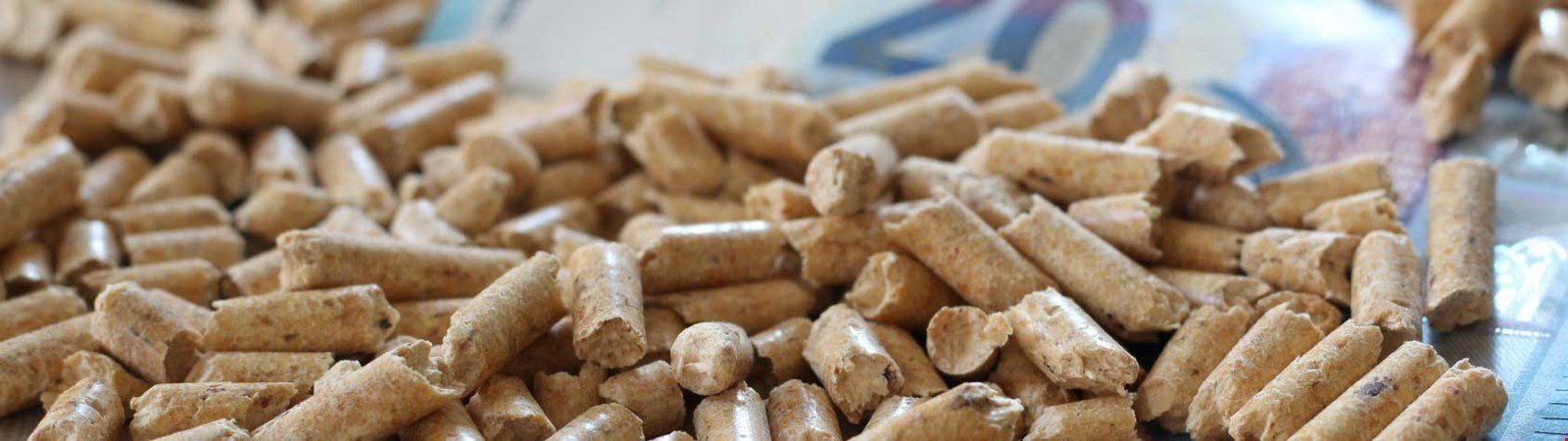 Pellets Preise: Mit Biomasse langfristig günstig heizen